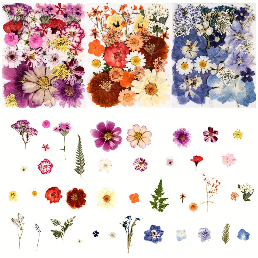 Dried Flowers Set 110 Pieces Vibrant Dried Flowers and Leaves for DIY Crafts Resin Jewelry Making Phone Case Candle Making Scrapbooking Epoxy Art Floral Decoration Nature Pressed F - product image 5