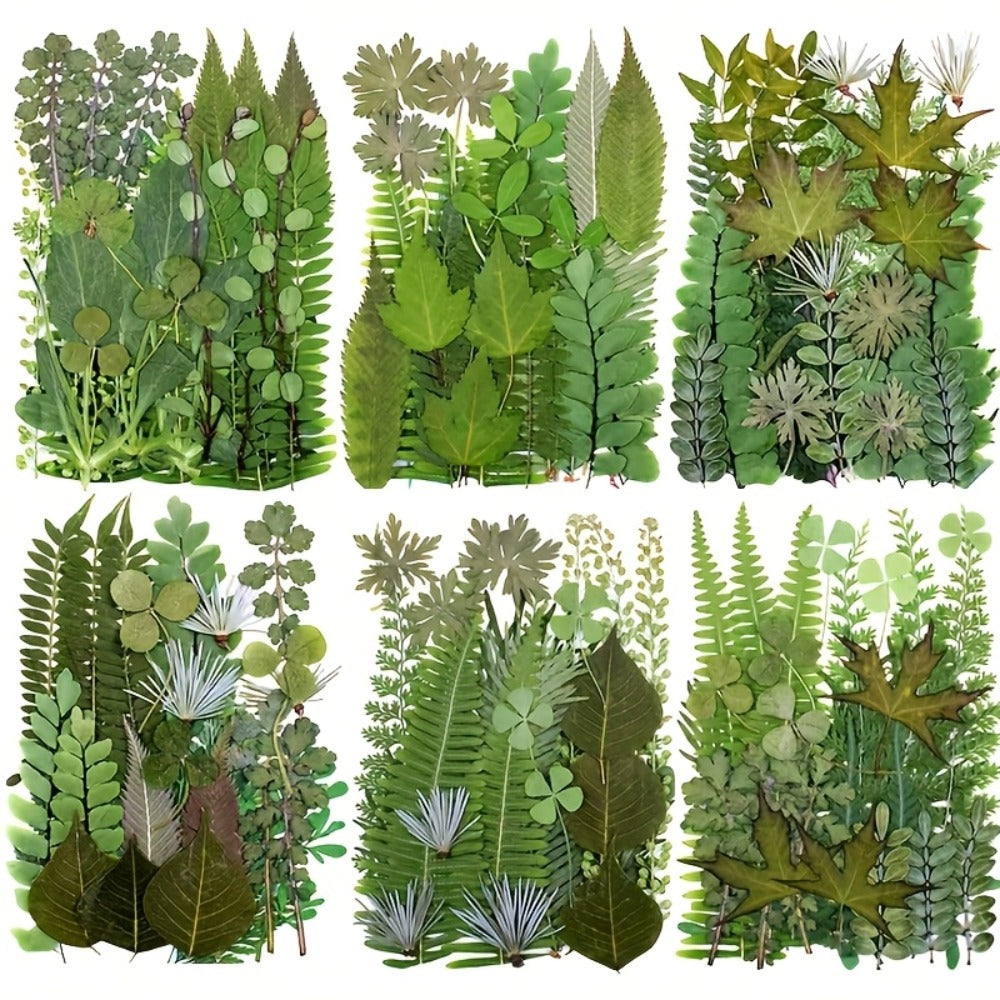 Dried Flower Material Pack 120pcs, Real Pressed Dried Flowers and Leaves for DIY Resin Phone Case Coaster Photo Frame Bookmark Greeting Card Candle Making Jewelry Craft Supplies - product image 5