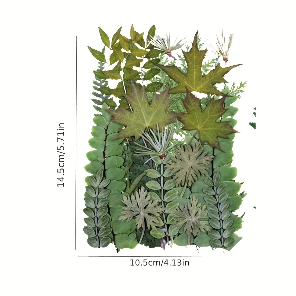 Dried Flower Material Pack 120pcs, Real Pressed Dried Flowers and Leaves for DIY Resin Phone Case Coaster Photo Frame Bookmark Greeting Card Candle Making Jewelry Craft Supplies - product image 4