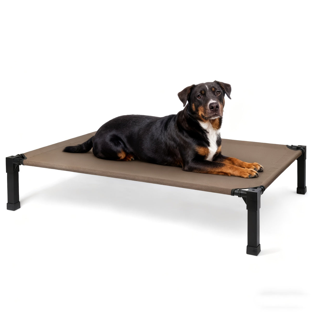 Washable Breathable Mesh, No-Slip Feet, Carry-along Dog Cot for Indoor & Outdoor Use, 4 Sizes, 7 Colors – Elevated Dog Bed Cooling Raised Cot with Metal Frame - product image