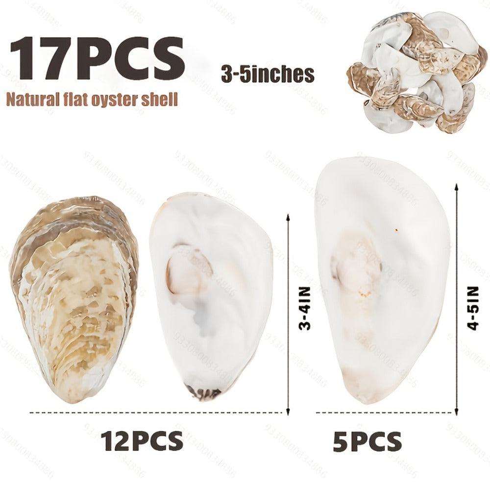 Natural Flat Oyster Shells for Crafts – 17pcs 3-5in Disk Shaped Sea Shells, Vase Filler, DIY Arts & Crafts, Christmas Ornaments, Home Decor, Beach Wedding Decoration - product image 4