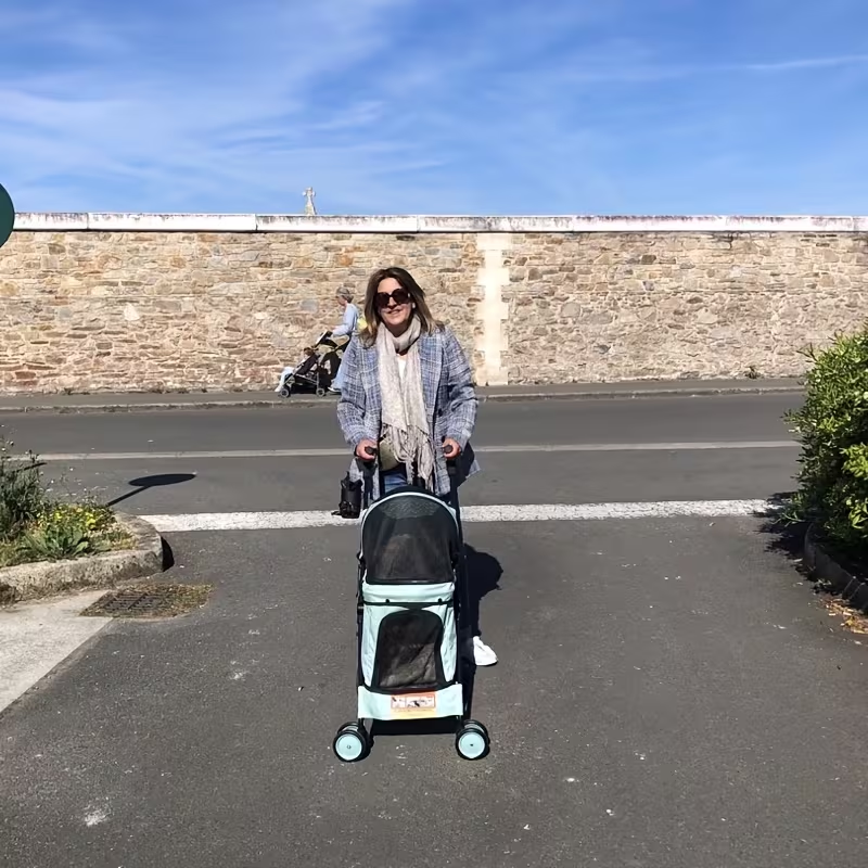 Collapsible Travel Dog Stroller, Portable Puppy Cat Pram with 4 Wheels, Canopy & Storage Basket, Featherlight Jogger Stroller for Pets Up to 33 lbs, 5 Colors - product image 7