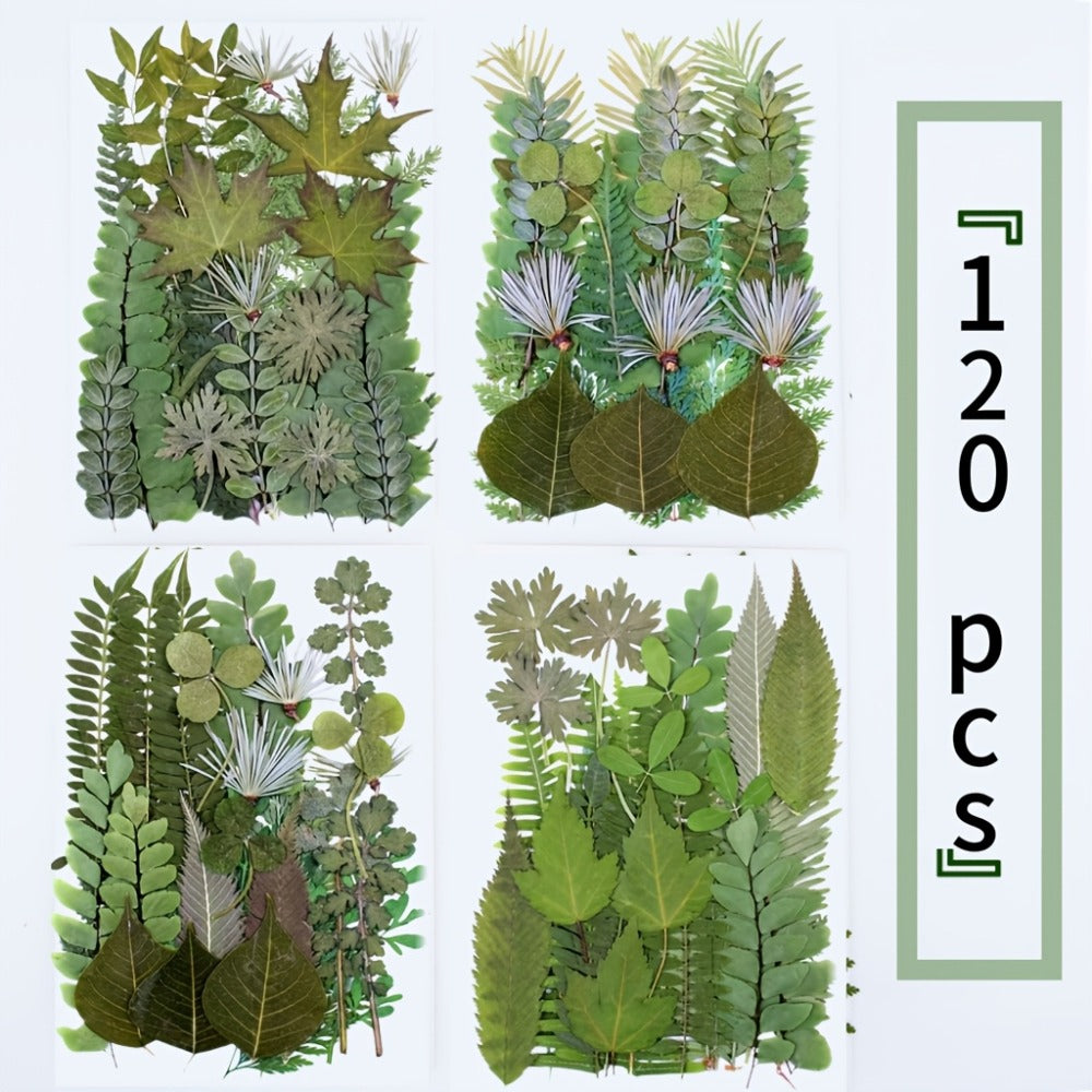 Dried Flower Material Pack 120pcs, Real Pressed Dried Flowers and Leaves for DIY Resin Phone Case Coaster Photo Frame Bookmark Greeting Card Candle Making Jewelry Craft Supplies - product image 3