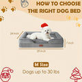 Orthopedic Dog Bed with Removable Washable Cover – High-Density Foam Dog Sofa Couch Bed, 4-Sided Bolster, Nonskid Bottom, Soft Flannel Lining, Available in M - product image 3