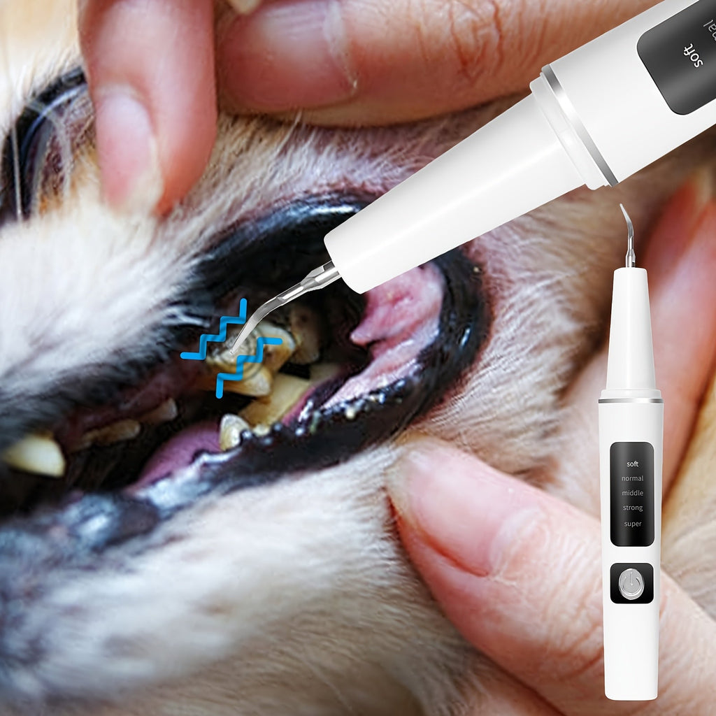 USB Rechargeable Cat & Dog Teeth Cleaner, 4 Cleaning Heads & 5 Modes, Removes Stains & Tartar for Cats and Dogs – Electric Pet Dental Cleaning Kit - product image 2