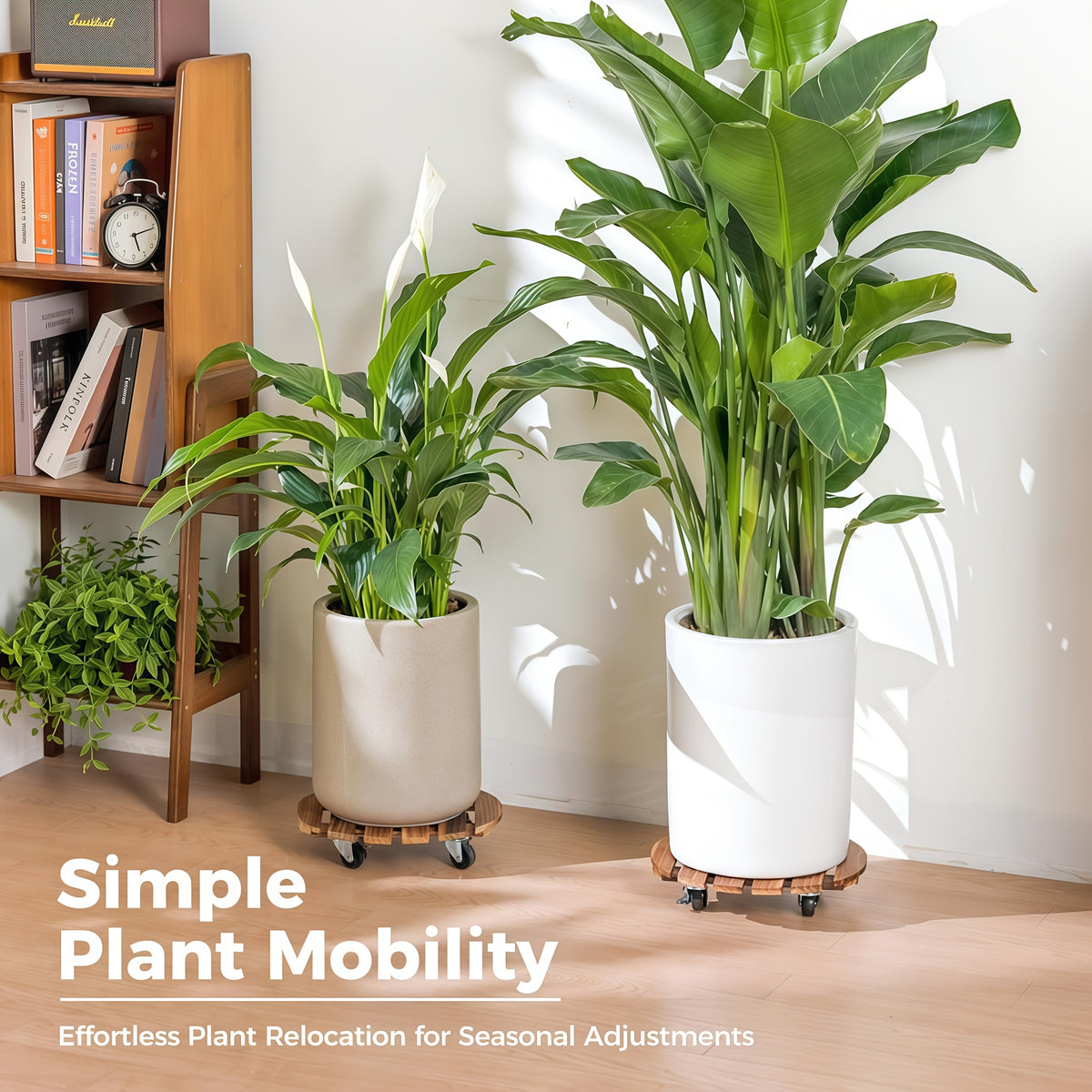 4 pcs Acacia Wood Rolling Round Plant Caddy for Plant Pots, Heavy Duty Plant Stand with 360° Lockable Wheels, 360Lbs Capacity Caddy for Indoor and Outdoor Use - product image 10