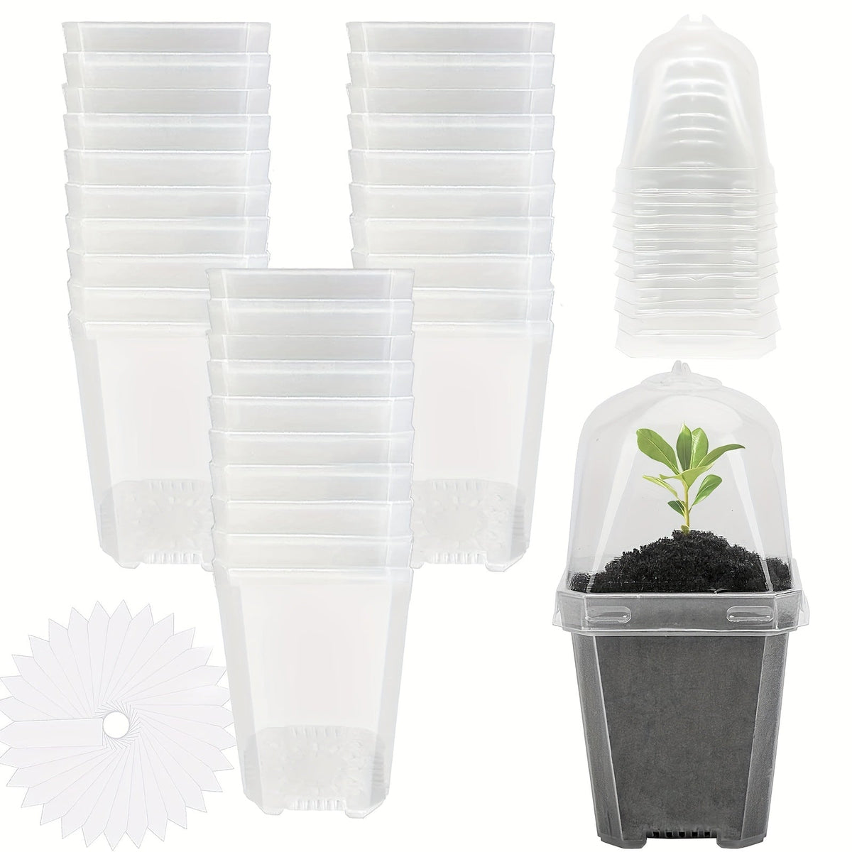 Clear Nursery Pots 3 Inch with Humidity Dome Lids 30pcs | Stackable Seed Starter Pots | Built-In Labels | Succulents Seedlings Cuttings Propagation - product image
