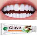 Herbal Toothpaste with Clove & Mint – Fluoride Free Deep Cleaning Whitening Toothpaste for Sensitive Gums, Natural Breath Freshener with Herbal Extracts, Daily & Travel Oral Care f - product image 15