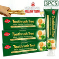 Natural Toothpaste 3-Pack – Herbal Mint Formula for Sensitive Gums & Teeth, Long-Lasting Freshness, Gentle Deep Cleaning Dental Care for Men & Women, Sleek Tube Design with Natural - product image 13