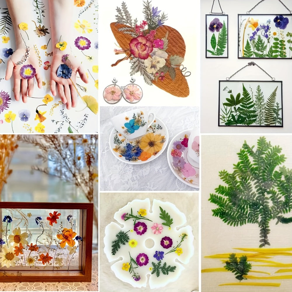 Dried Pressed Flowers Kit 500pcs – Natural Real Flower Petals & Leaves for Resin Art, Nail Art, Jewelry Making, Scrapbooking, Phone Case Decor, Candle Making & DIY Floral Crafts - product image 4