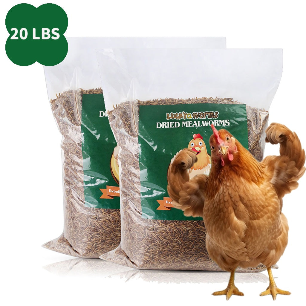 Natural Insect Treats for Chickens Wild Birds Hens Ducks Turtles Fish Lizards Hamsters, Non-GMO Dried Larvae Pet Food Supplement, 0.6LB to 44LB – Dried - product image 7