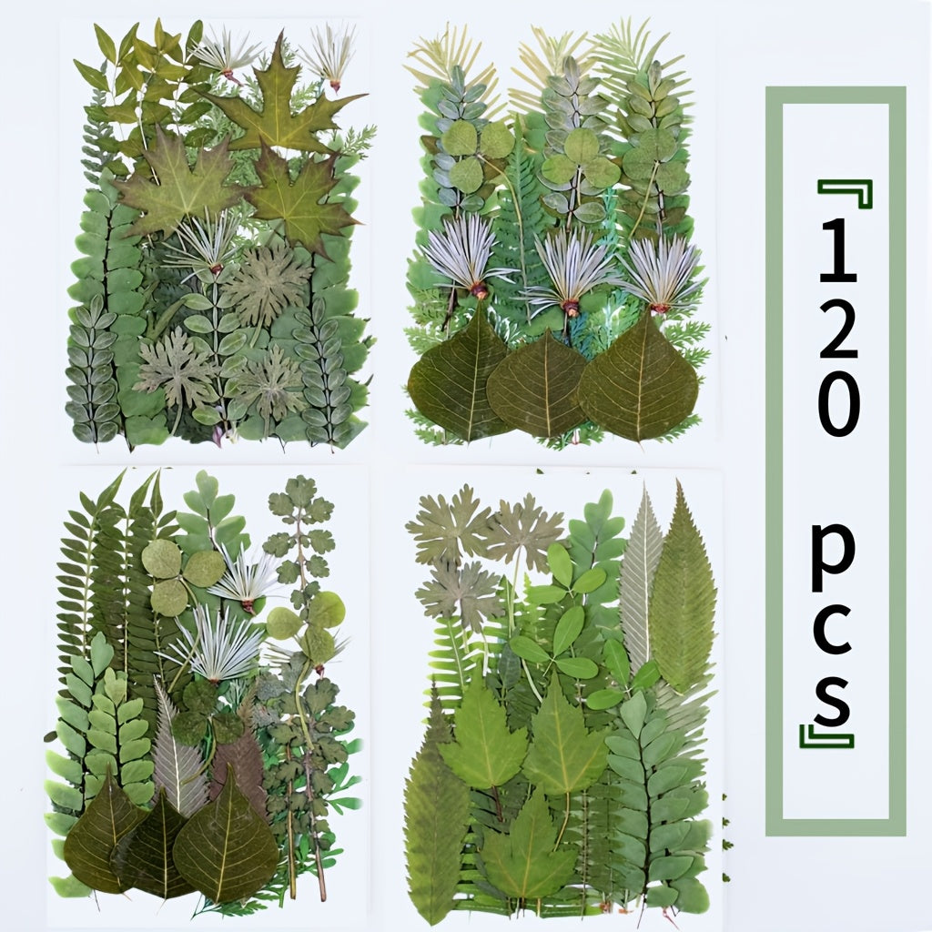 Dried Flower Material Pack 120pcs, Real Pressed Dried Flowers and Leaves for DIY Resin Phone Case Coaster Photo Frame Bookmark Greeting Card Candle Making Jewelry Craft Supplies - product image 14