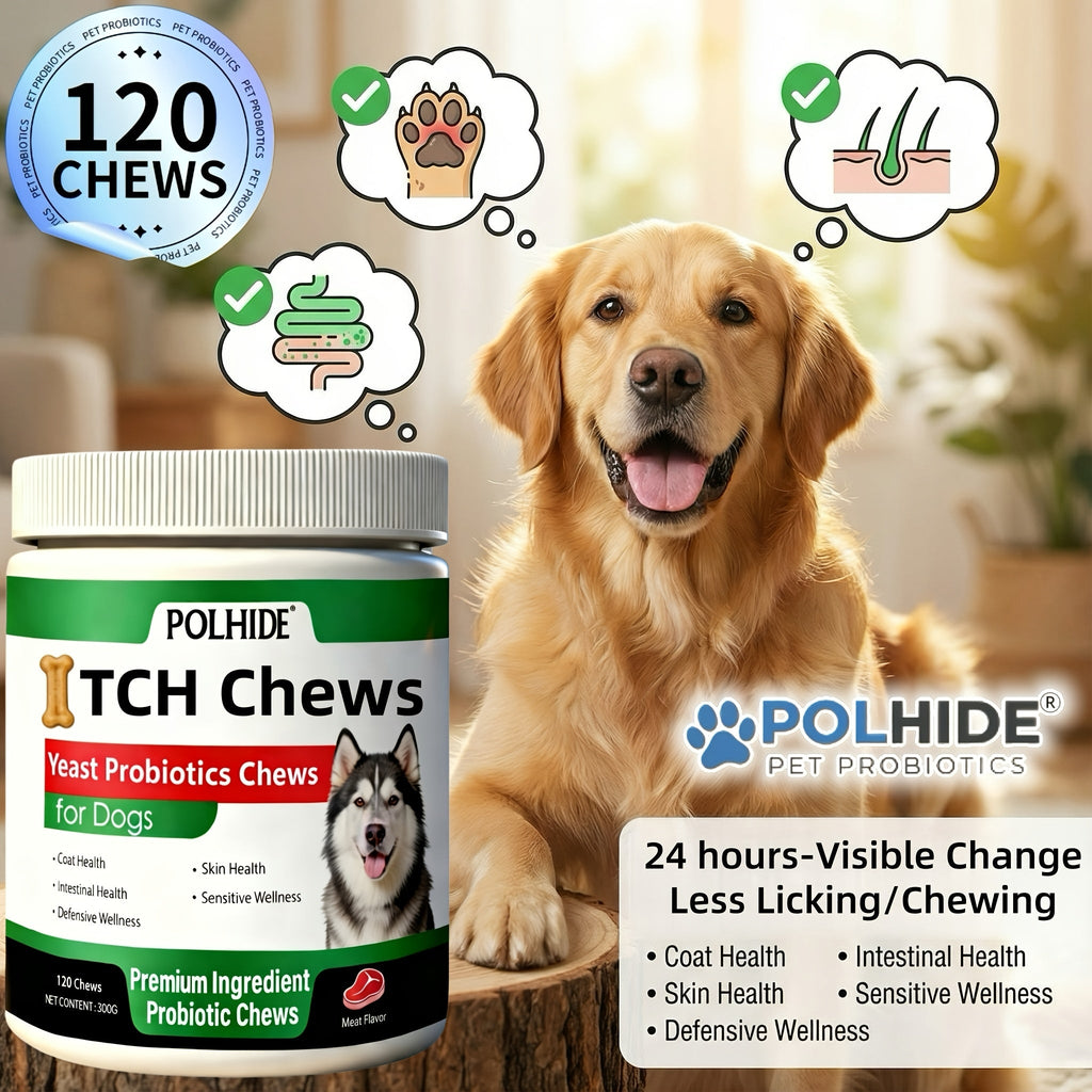 Dog Probiotic Chews 120 Count Heart-Shaped Soft Chews with Yeast & Meat Flavor – 120-Day Supply Pet Digestive Supplement Daily Wellness Chew – Supports Gut - product image 4